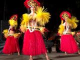 chief's luau chief